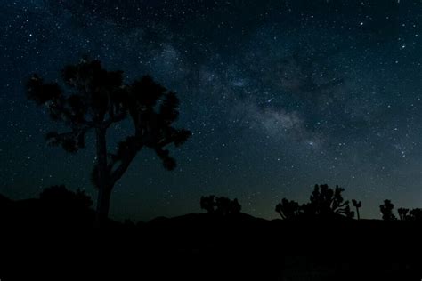 The Beginners Guide To Night Sky Photography