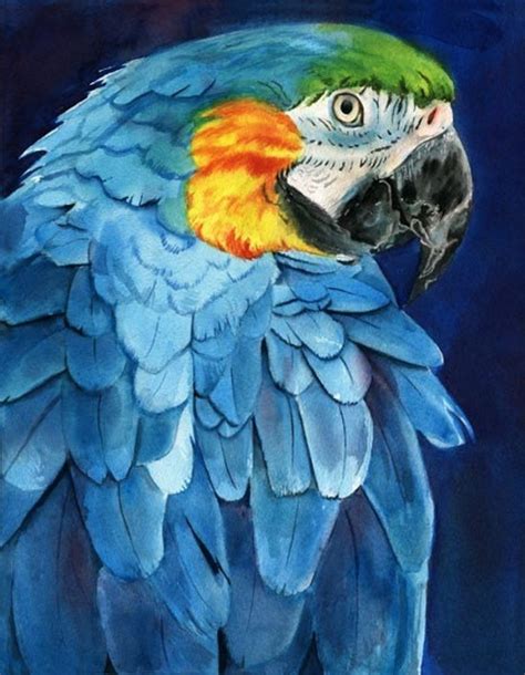 Macaw Parrot art Print of my watercolor painting Mac