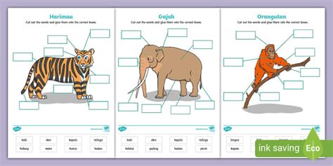 Indonesian Animals Body Parts Labelling Activity - Twinkl