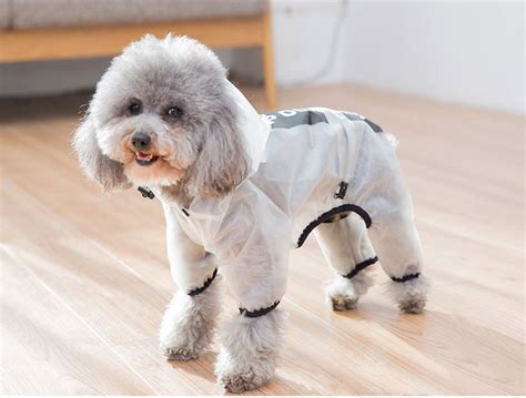 Waterproof Dog Raincoat ⋆ Hood ⋆ The Furry Shop