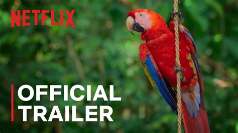 Life in Color with David Attenborough | Official Trailer | Netflix - YouTube