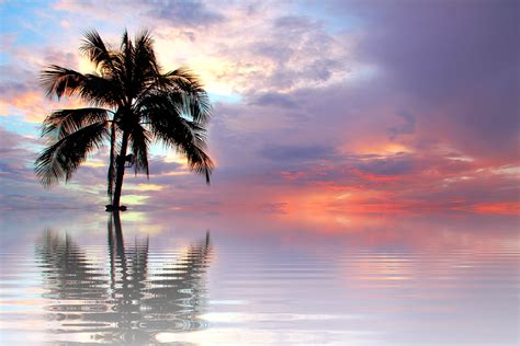 Sunset Sea Nature - Free photo on Pixabay - Pixabay