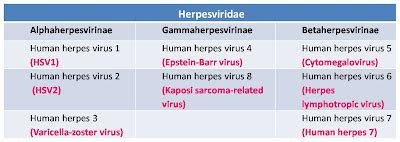 Our microB blog!: HERPESVIRIDAE