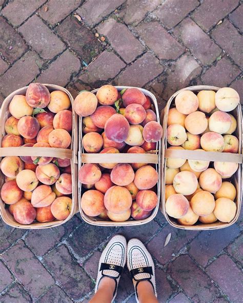 peach-south-carolina | Farmers market recipes, Pretty food, Food ...