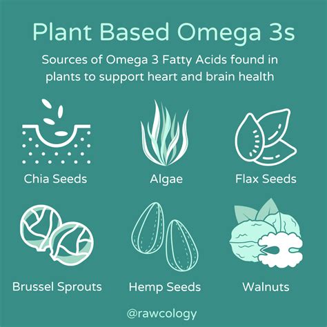 Plant Based Omega 3s | Plant based, Plant based nutrition, Vegetarian ...