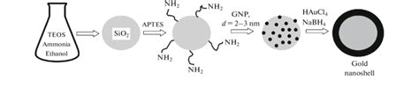 Synthesis of gold nanoshells. | Download Scientific Diagram