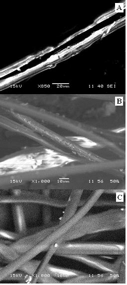 Scanning electron micrographs of Native silk fibre (A)Incompletely... | Download Scientific Diagram