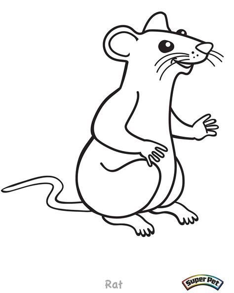 Rat Outline Drawing at GetDrawings | Free download