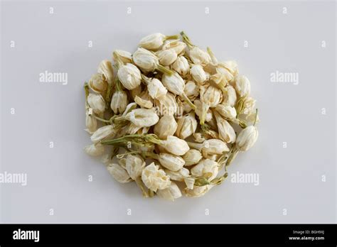 Jasmine tea leaves Stock Photo - Alamy