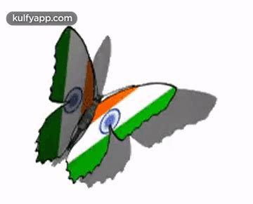 Indian Flag On Butterfly.Gif GIF - Indian flag on butterfly ...