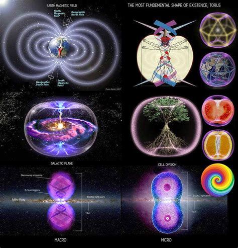 Conscious Quantum Energy Healing - Torus