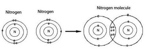 Nitrogen Covalent Bond