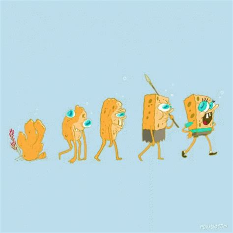 Spongebob Evolution GIF - Spongebob Evolution Silly - Discover & Share GIFs