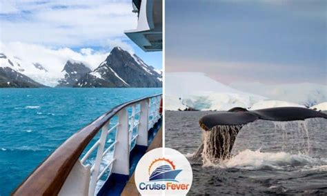 9 Things to Know About a Cruise to Antarctica: Cost & Tips Guide