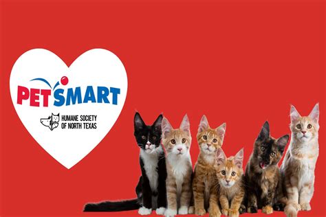 PetSmart Adoption Event at Lake Worth | HSNT