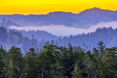 Cambio Accesible radical temperate rainforest climate Formación ...