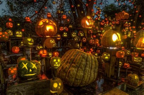 Jack O’Lantern Spectacular Returns as Walk-Thru Event : GoToLouisville ...