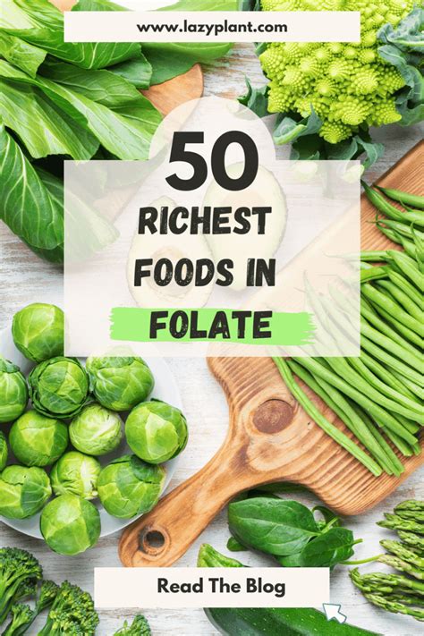 The 50 richest foods in folate (folic acid) | Foods high in folate, Folate foods, Folic acid foods