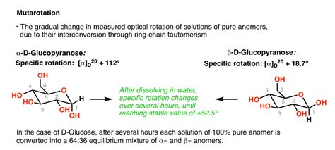 Sugar and Carbohydrate Chemistry Definitions: 29 Key Terms To Know