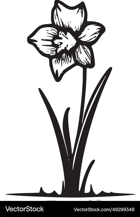 Daffodil - minimalist and flat logo Royalty Free Vector