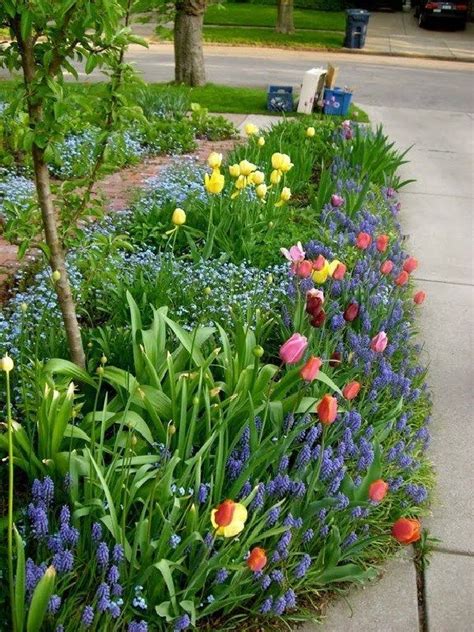 Fabulous Bulb Garden Designs and Decors Picture 20 | Small flower gardens, Spring bulbs garden ...