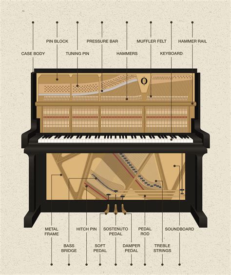 How Does A Piano Work To Create Sound? - OKTAV