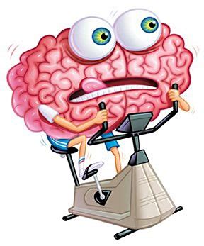 Free Brain Exercise Cliparts, Download Free Brain Exercise Cliparts png images, Free ClipArts on ...