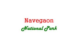 Navegaon National Park Arjuni Morgaon, Gondia - Zoo and Wildlife Sanctuary | Joonsquare India