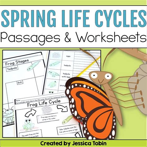 Life Cycles for Spring - Elementary Nest