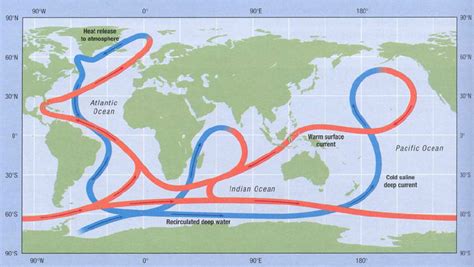 The Great Ocean Conveyor: global thermohaline circulation. | Download ...