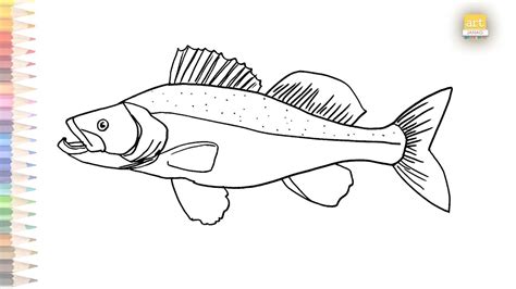 Walleye fish drawing easy | How to draw Walleye fish step by step | Draw A Fish | art janag ...