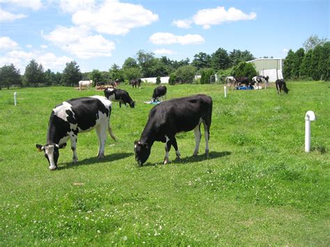 Crescent Ridge Dairy Bar - Sharon, MA | Review & What to Eat