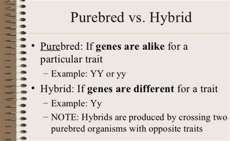 Difference Between Hybrid and Purebred : Purebred vs Hybrid