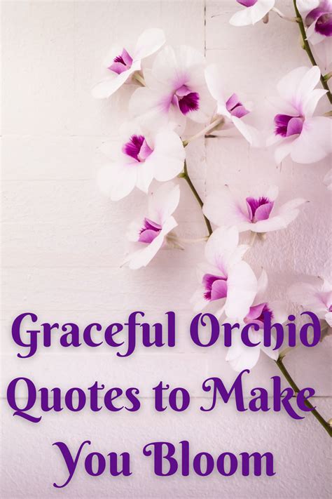 63 Unique Orchid Quotes To Help You Bloom - Darling Quote