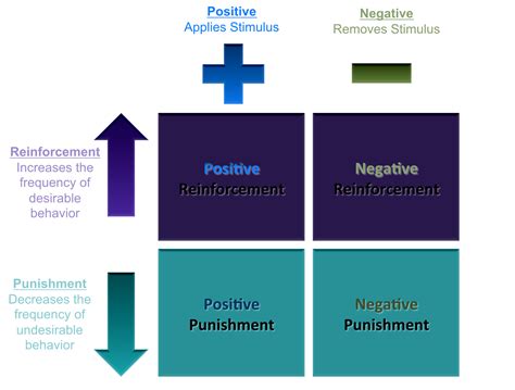 Operant Conditioning Examples With Answers