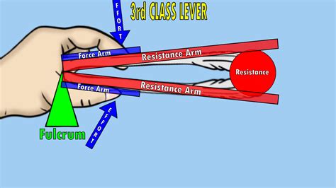 The 3 Classes of Levers