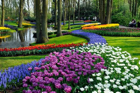 Celebrate Spring with Keukenhof Gardens - Petite Haus