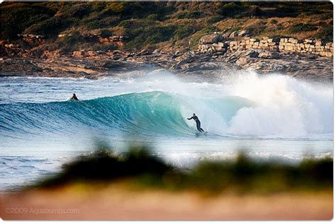 Surfing Maroubra Beach Maroubra New South Wales Australia