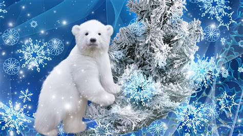 🔥 [90+] Christmas Polar Bear Wallpapers | WallpaperSafari