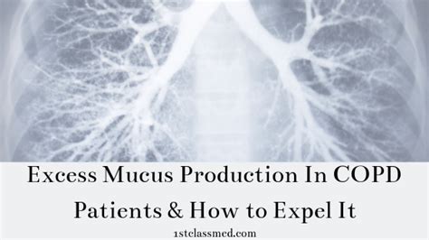 Excess Mucus Production In COPD Patients & How to Expel It