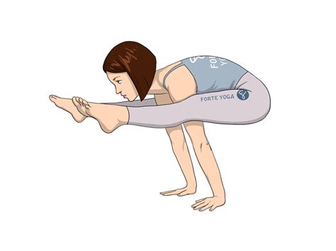 Firefly Yoga Pose - Forte Yoga