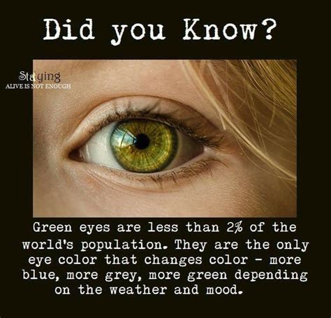 Green Eyes | Green eyes, Eye color, Fun facts