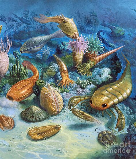 Underwater Life During The Paleozoic Photograph by Publiphoto