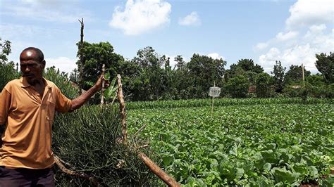 Getting more from the soil: An Ethiopian farmer shows the way | GEF