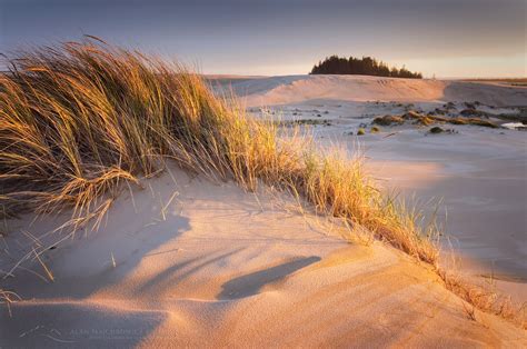 Oregon Dunes National Recreation Area - Alan Majchrowicz Photography