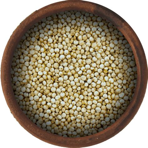 Bulk Quinoa Seeds | Wholesale And Fresh Quinoa