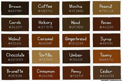 Shades of Brown – Discover the Brown Color Palette