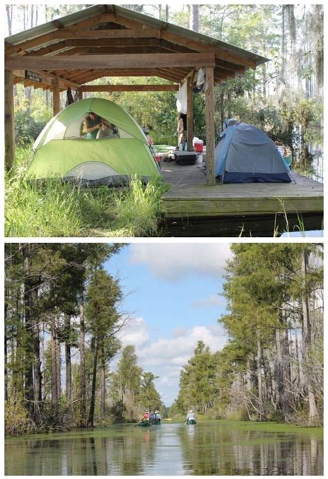 Okefenokee Swamp Camping