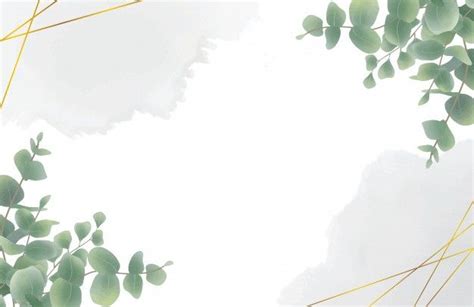 Watercolor Eucalyptus Leaf Background | Premium Vector