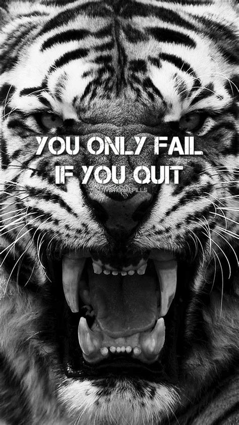 16+ Inspirational Quotes With Tiger Images - Richi Quote